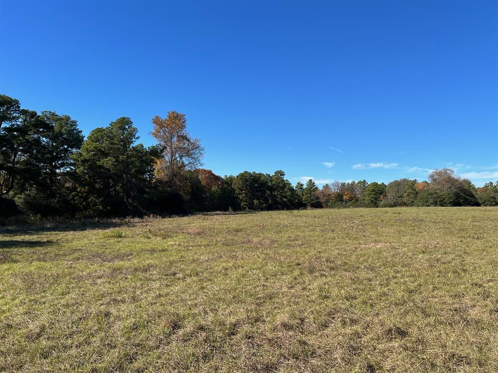 141 Ac Cr 114  , Centerville, Texas image 17