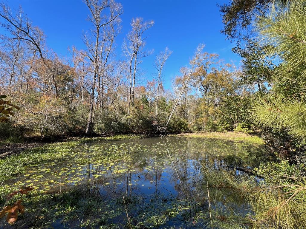 141 Ac Cr 114  , Centerville, Texas image 18