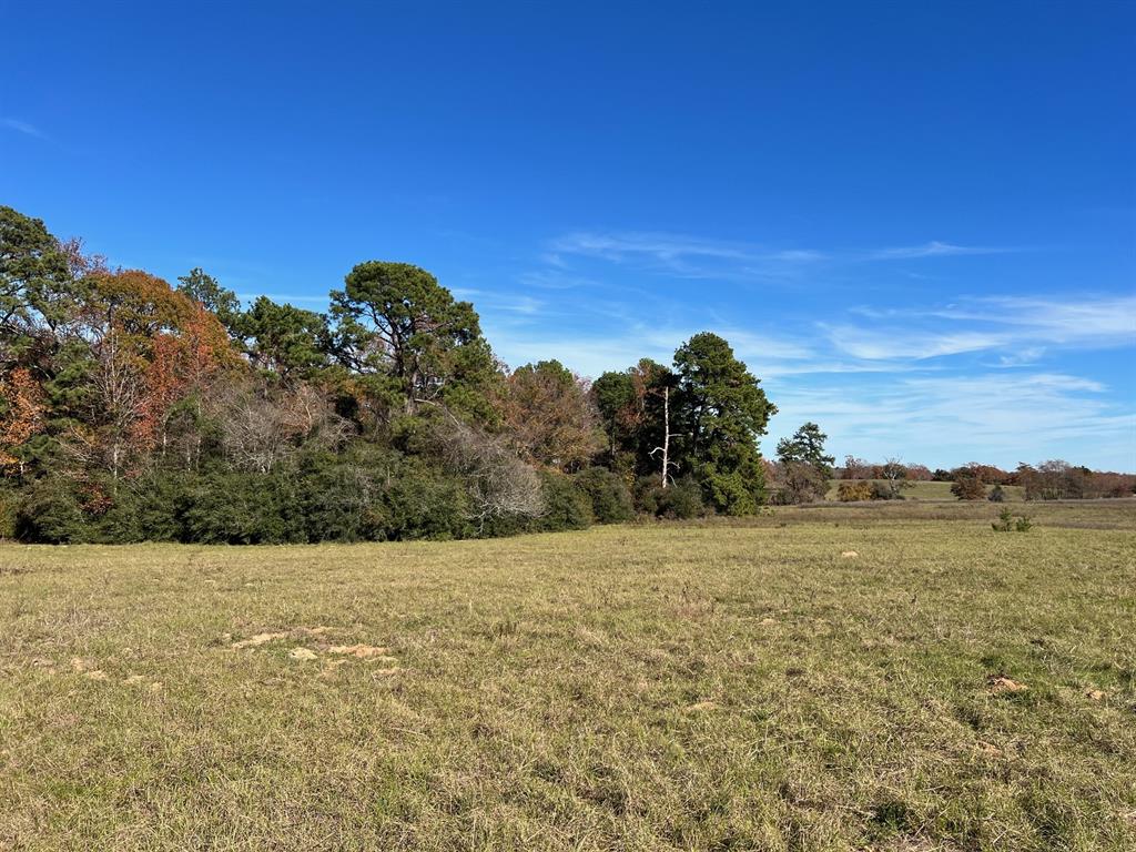 141 Ac Cr 114  , Centerville, Texas image 19