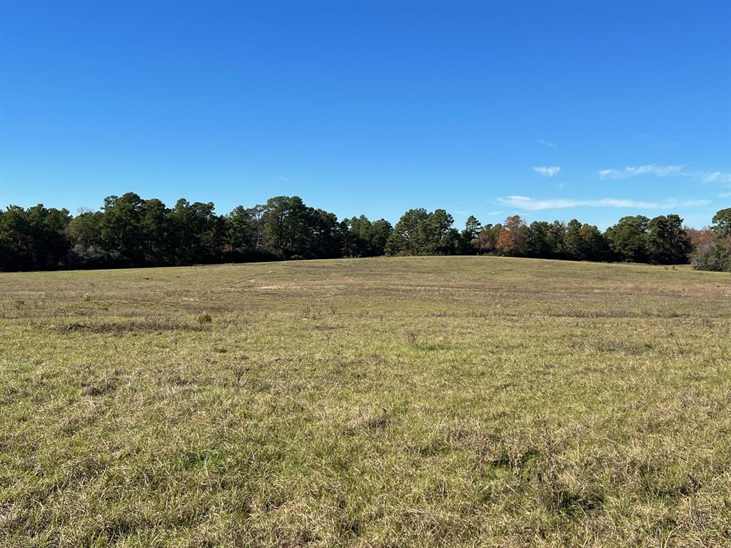 141 Ac Cr 114  , Centerville, Texas image 20