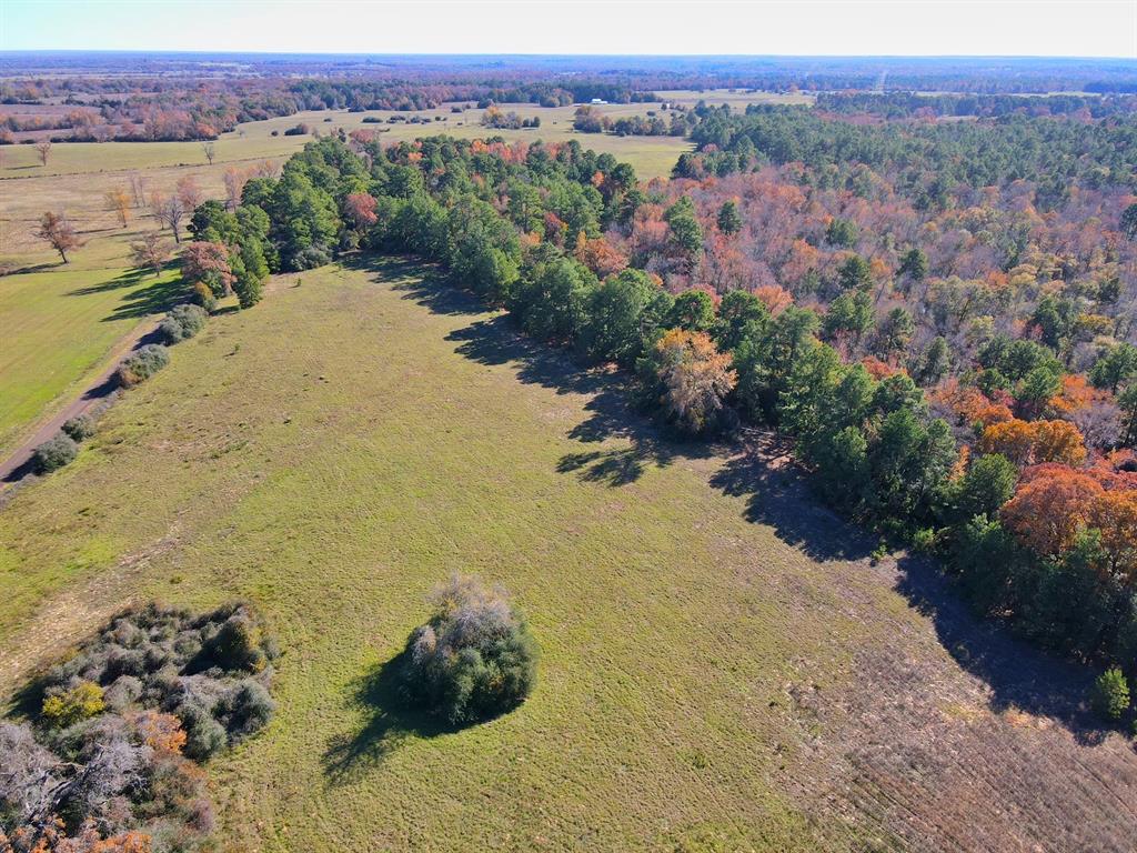 141 Ac Cr 114  , Centerville, Texas image 4