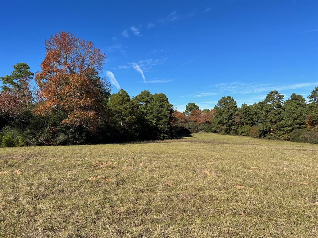 141 Ac Cr 114  , Centerville, Texas image 5