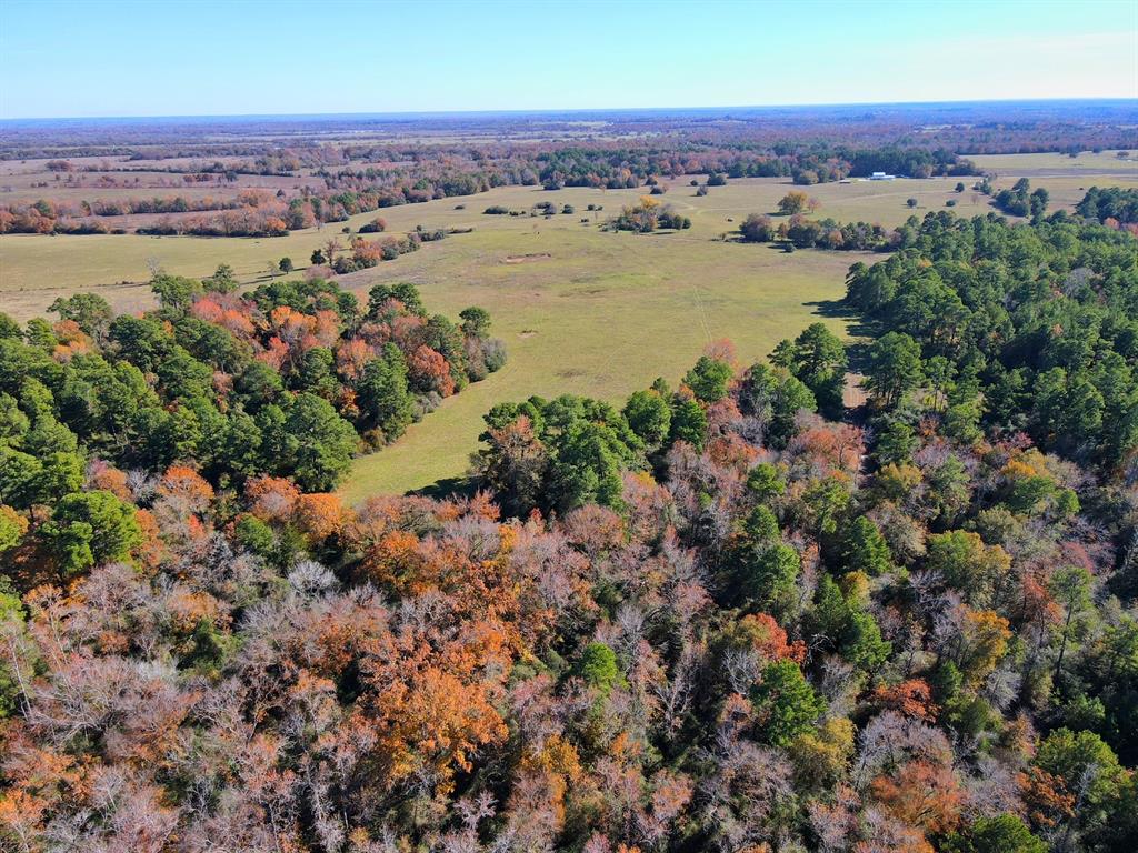 141 Ac Cr 114  , Centerville, Texas image 6