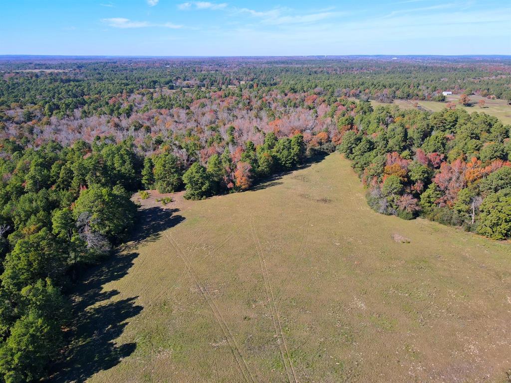 141 Ac Cr 114  , Centerville, Texas image 8