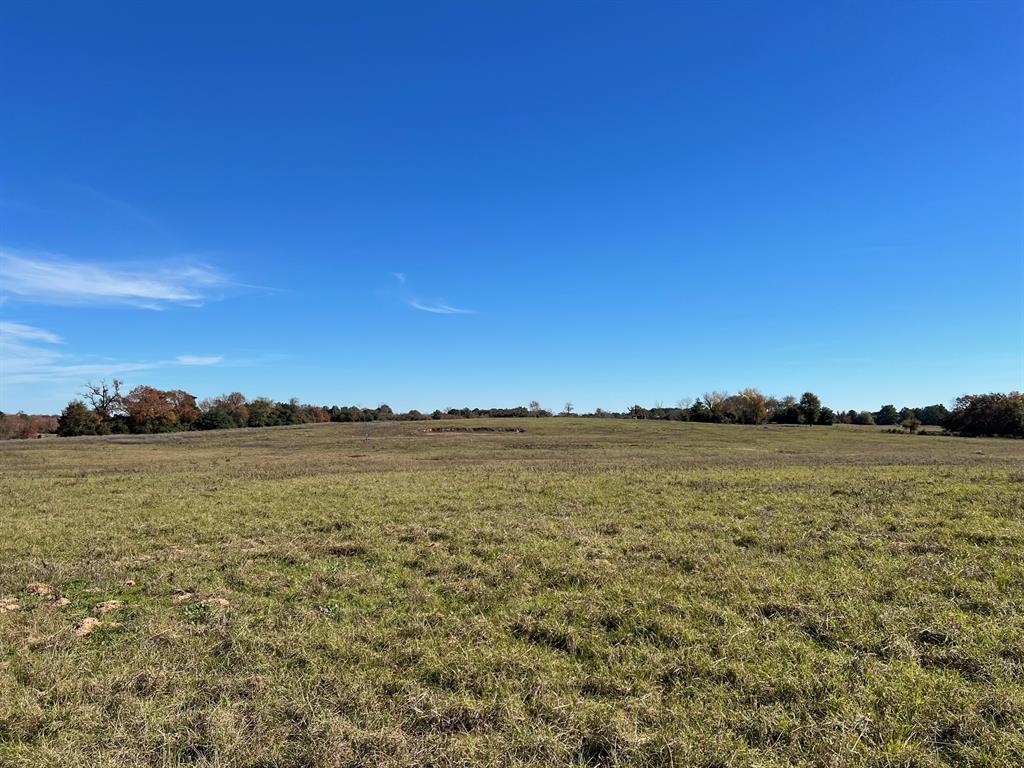 141 Ac Cr 114  , Centerville, Texas image 9