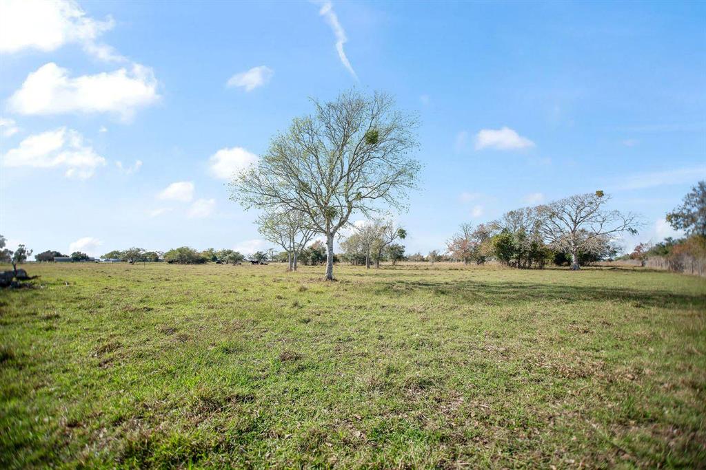 TBD County Road 429  , Lolita, Texas image 14