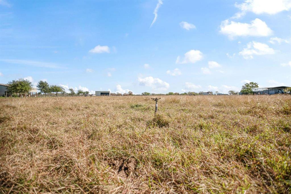 TBD County Road 429  , Lolita, Texas image 6