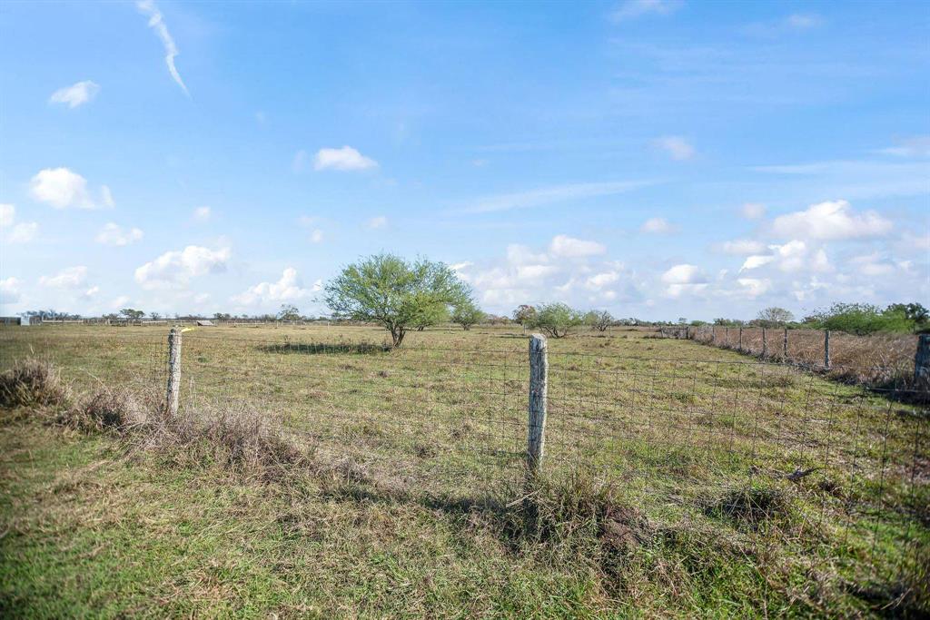 TBD County Road 429  , Lolita, Texas image 7