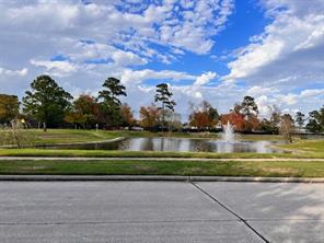 9406 Lakeway View Ln, Humble, TX, 77396