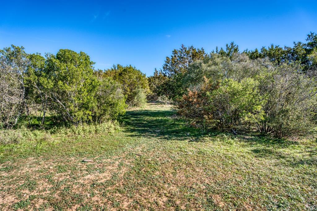 PT Lot 1335 Quarter Horse Circle , Kingsland, Texas image 13