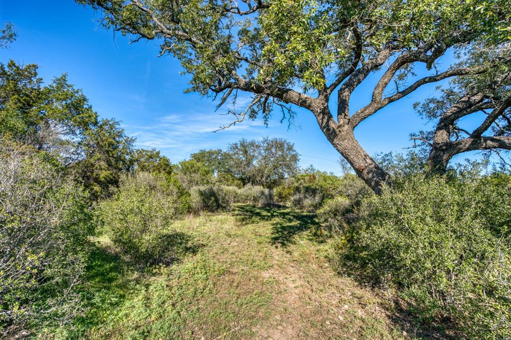 PT Lot 1335 Quarter Horse Circle , Kingsland, Texas image 16