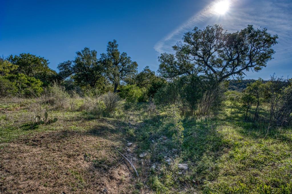 PT Lot 1335 Quarter Horse Circle , Kingsland, Texas image 17