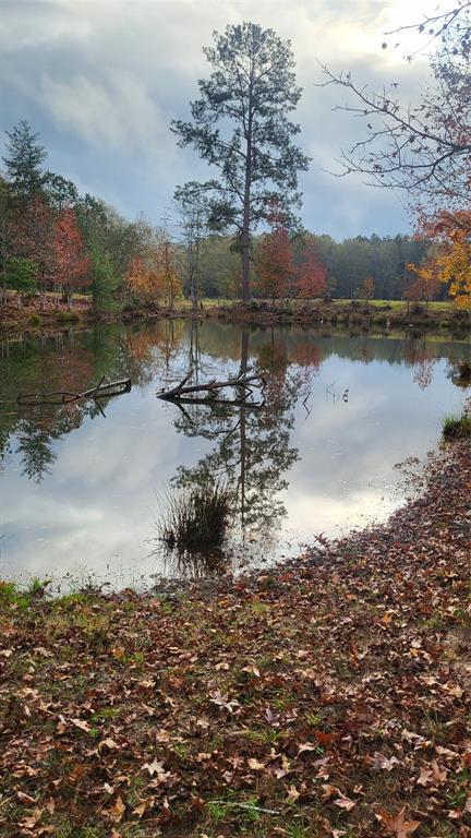 Runnels Road , Coldspring, Texas image 9