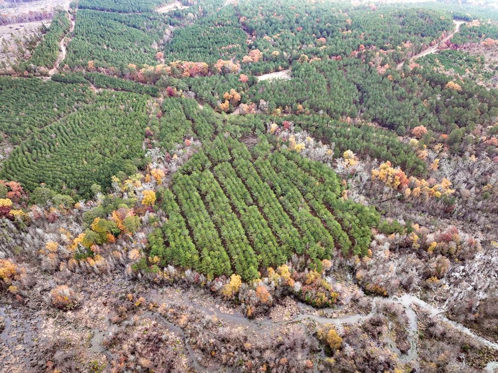 00 County Road 1651  , Avinger, Texas image 13