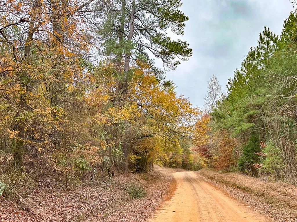 00 County Road 1651  , Avinger, Texas image 9