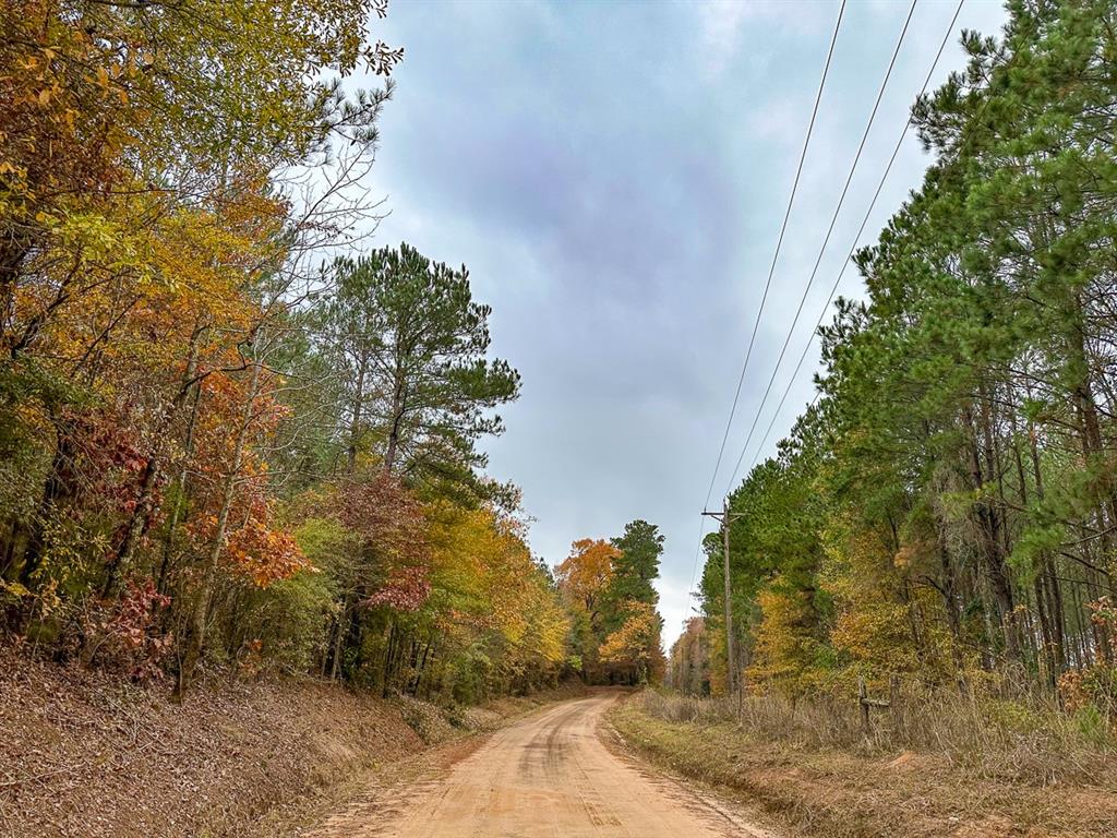 00 County Road 1651  , Avinger, Texas image 10