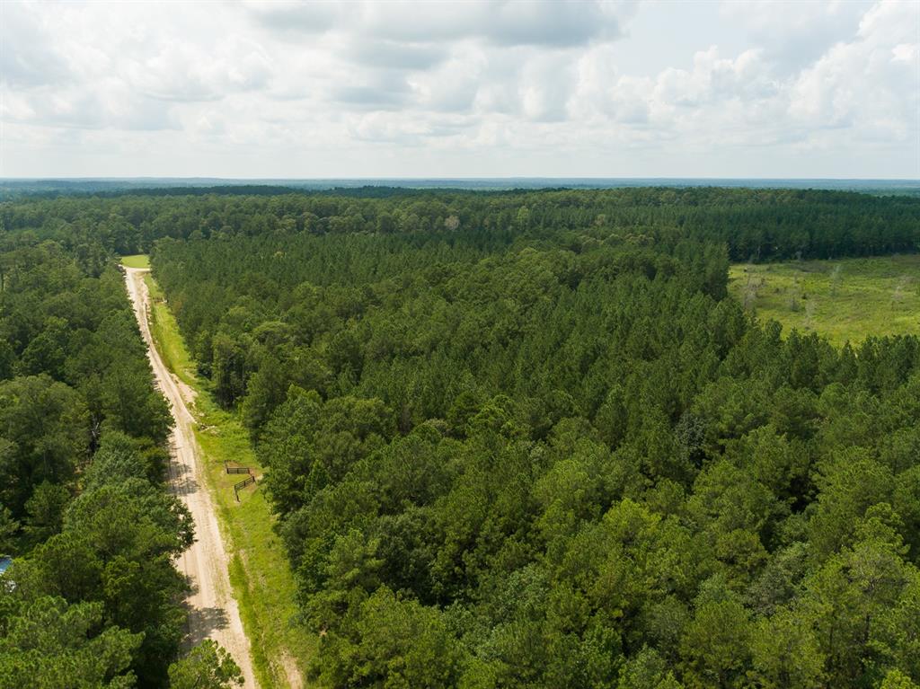 00000 Nine Bridge Rd  , Corrigan, Texas image 12