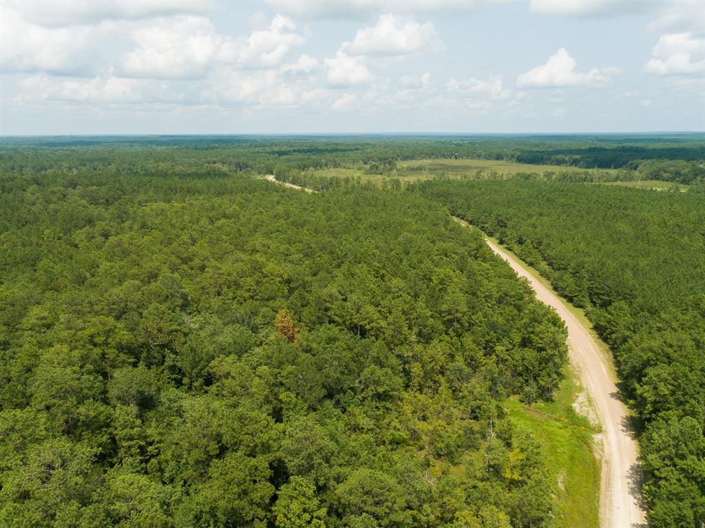 00000 Nine Bridge Rd  , Corrigan, Texas image 14