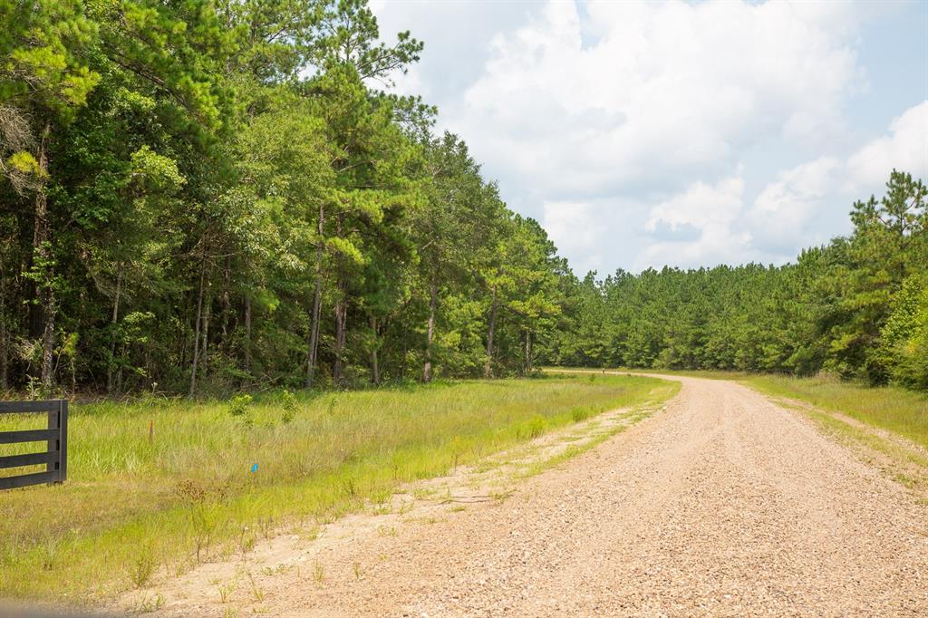 00000 Nine Bridge Rd  , Corrigan, Texas image 15