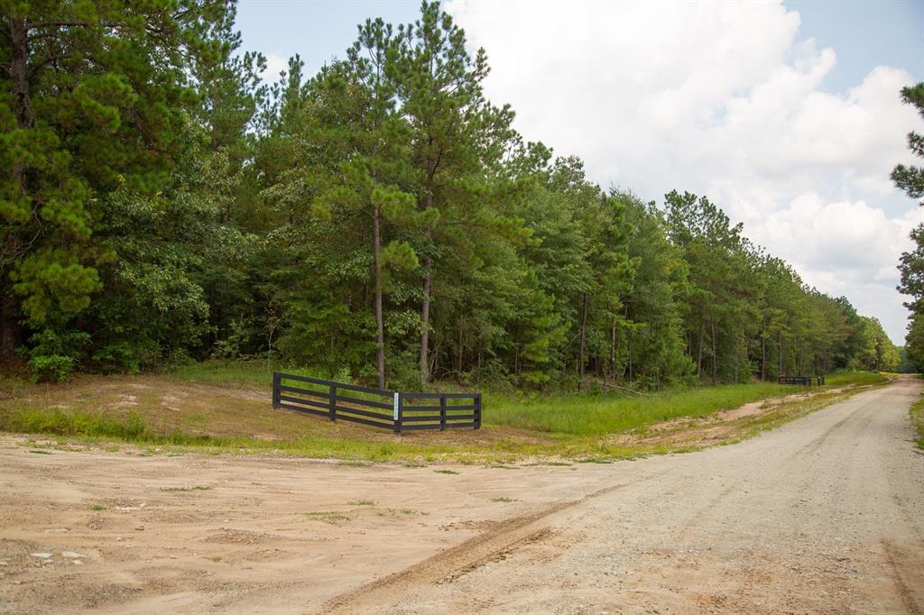 00000 Nine Bridge Rd  , Corrigan, Texas image 16