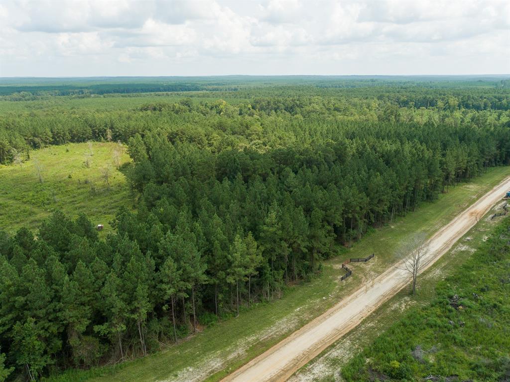 00000 Nine Bridge Rd  , Corrigan, Texas image 17