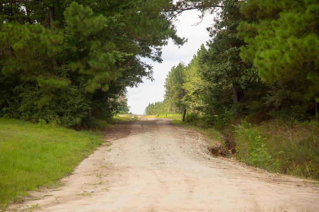 00000 Nine Bridge Rd  , Corrigan, Texas image 5