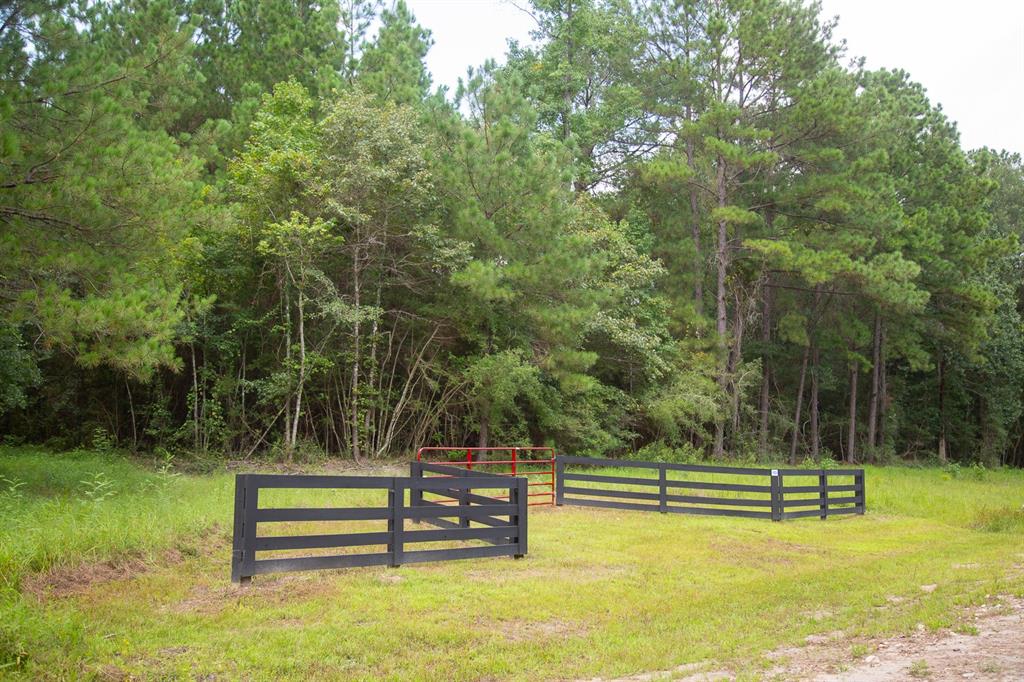 00000 Nine Bridge Rd  , Corrigan, Texas image 8