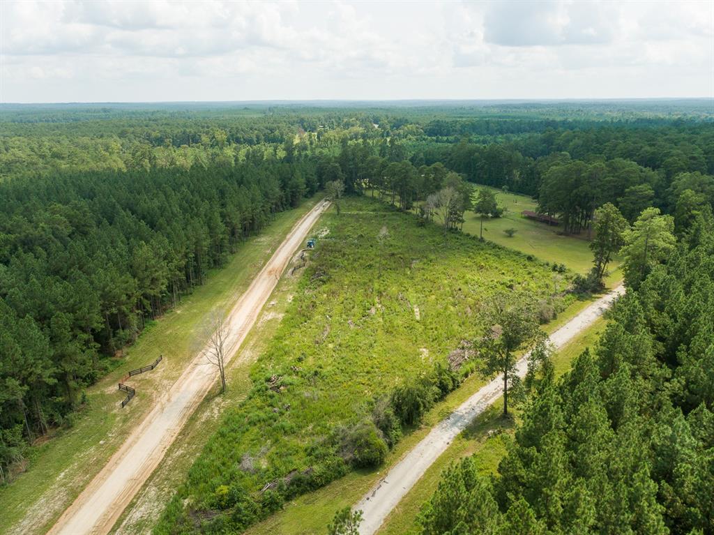 00000 Nine Bridge Rd  , Corrigan, Texas image 9