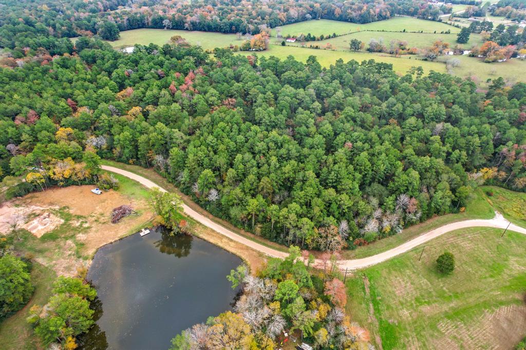 Belinowski Road , New Waverly, Texas image 4