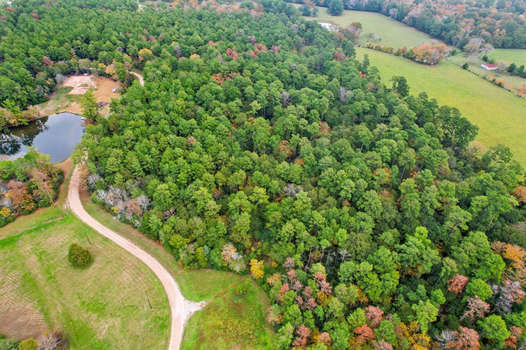 Belinowski Road , New Waverly, Texas image 5