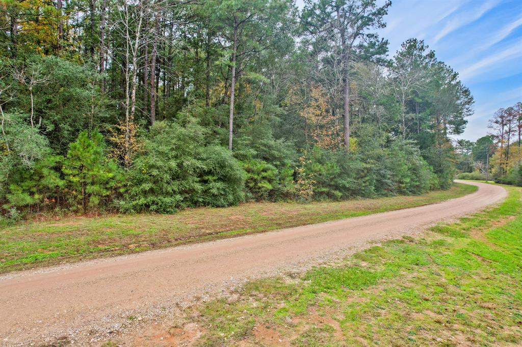 Belinowski Road , New Waverly, Texas image 7