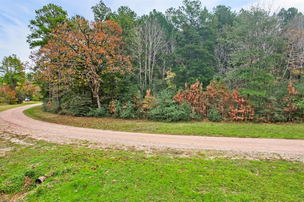 Belinowski Road , New Waverly, Texas image 8