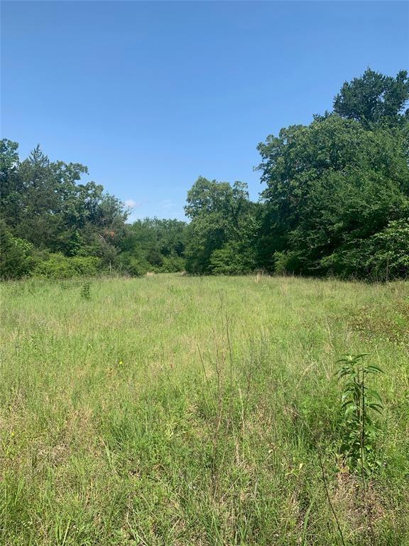 Lot 16 Cr 389  , Jewett, Texas image 6