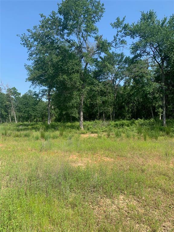 Lot 16 Cr 389  , Jewett, Texas image 7