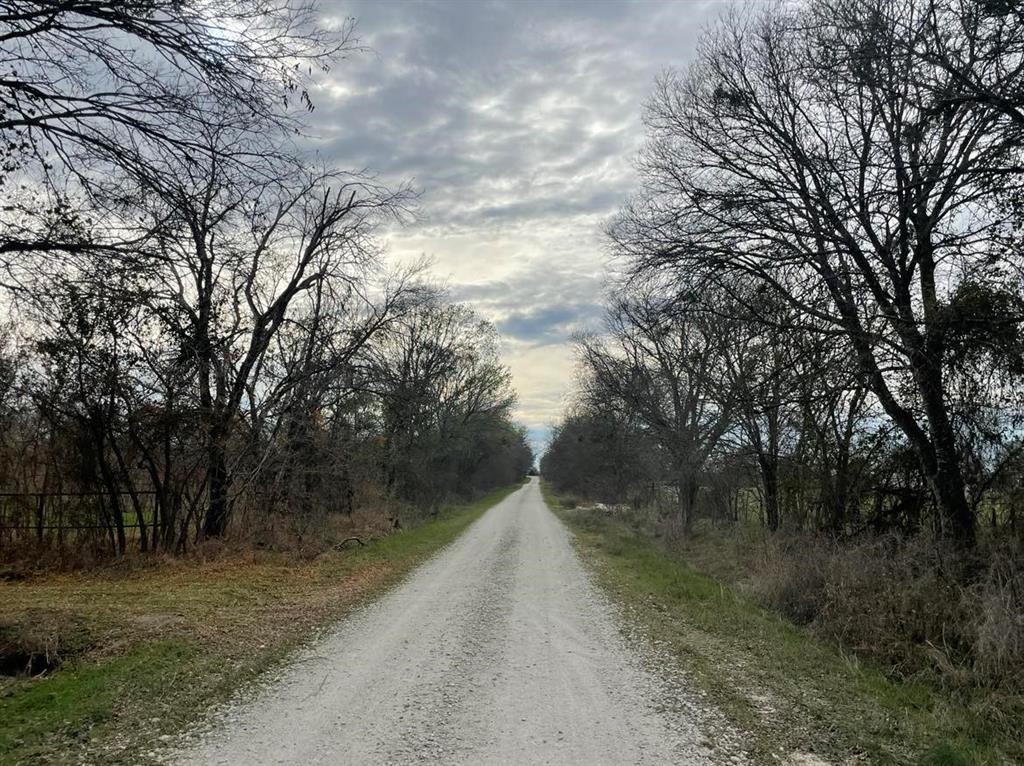 TBD County Rd 243/hwy 7  , Kosse, Texas image 5