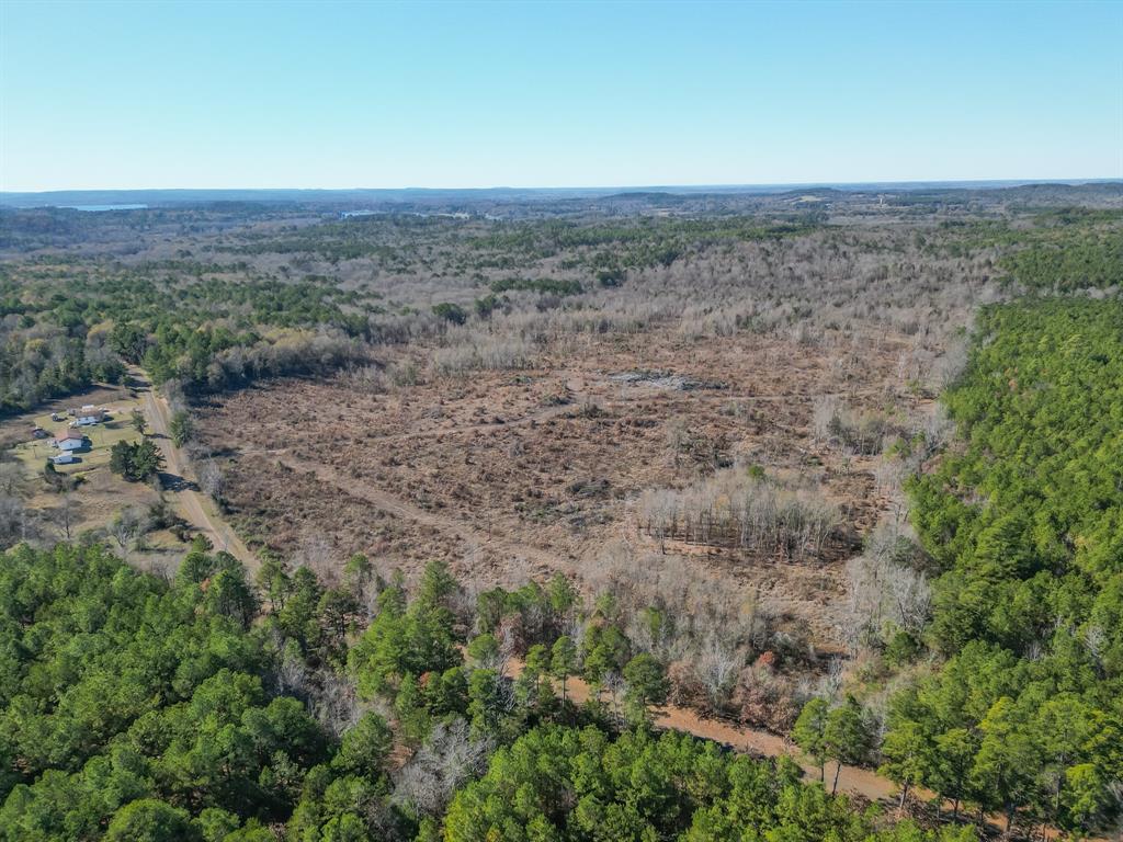 2113 Cr Jerusalem Road , Daingerfield, Texas image 13