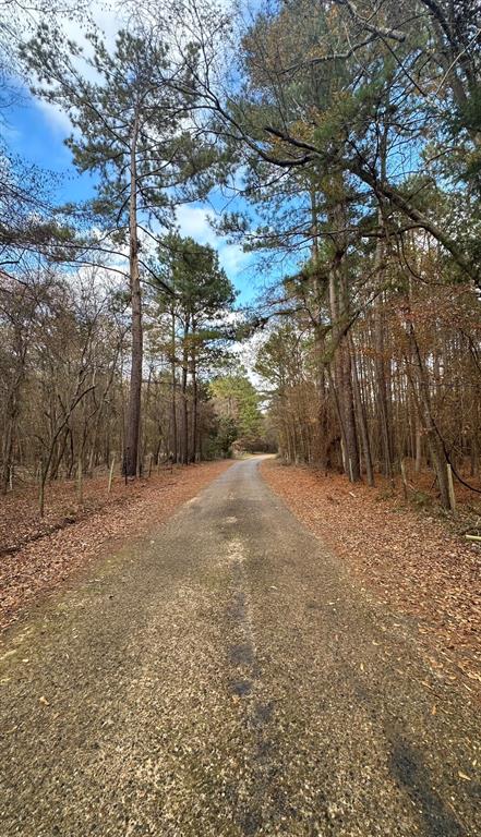 2113 Cr Jerusalem Road , Daingerfield, Texas image 4