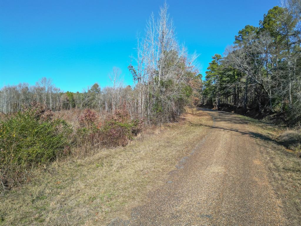 2113 Cr Jerusalem Road , Daingerfield, Texas image 8