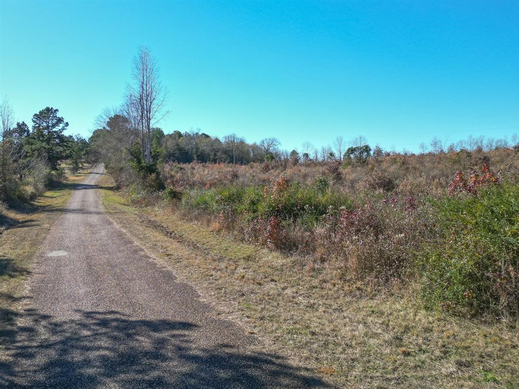 2113 Cr Jerusalem Road , Daingerfield, Texas image 9