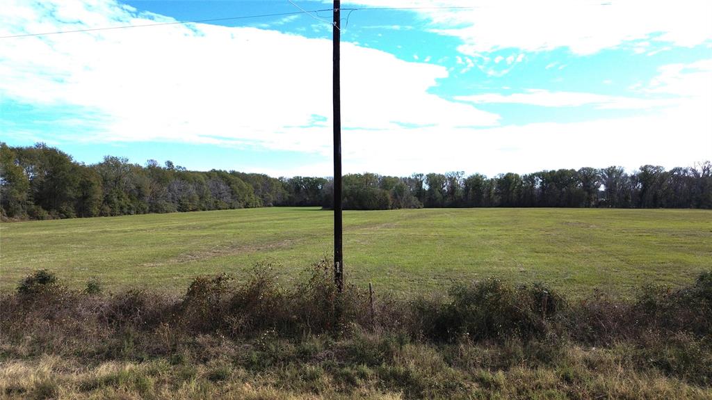 TBD Reese Road / Louisville Road  , Groveton, Texas image 11