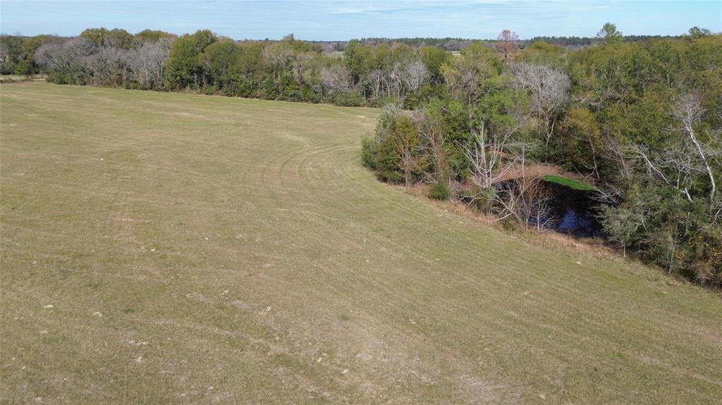 TBD Reese Road / Louisville Road  , Groveton, Texas image 18