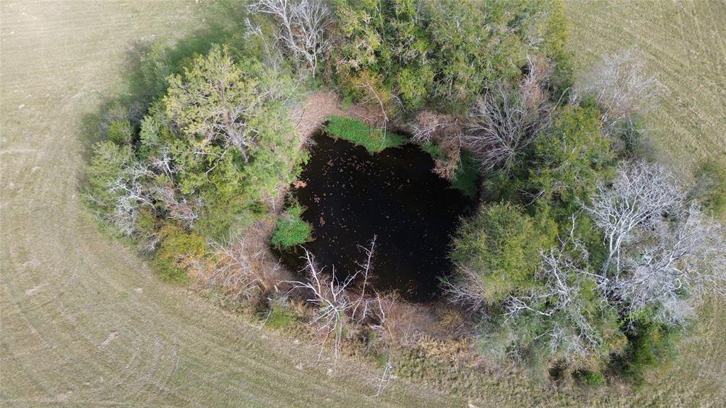 TBD Reese Road / Louisville Road  , Groveton, Texas image 8