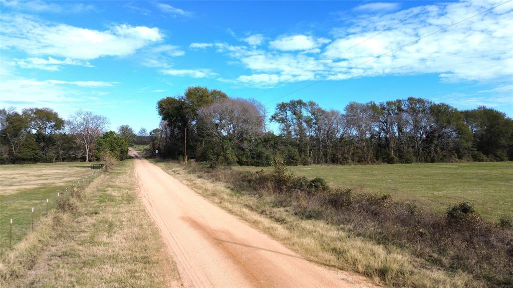 TBD Reese Road / Louisville Road  , Groveton, Texas image 10