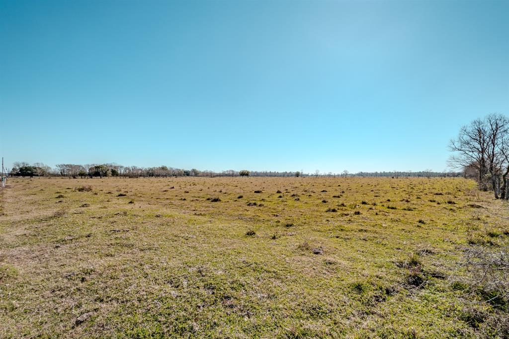 TBD County Road 605 Sawmill Road , Dayton, Texas image 12