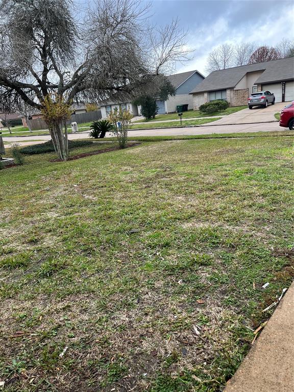 Front yard view