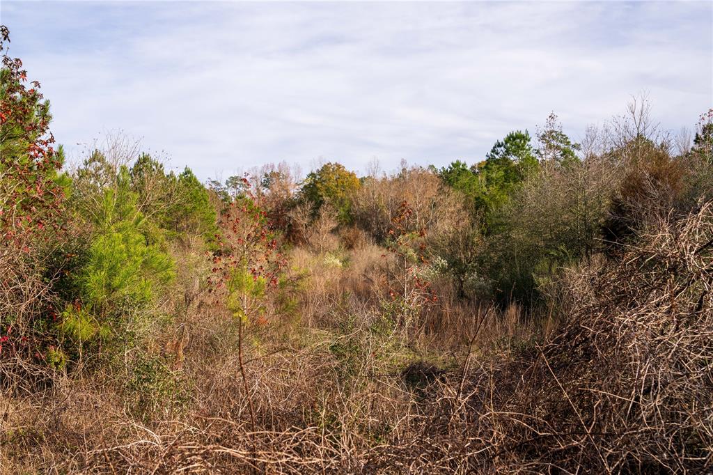 TBD 2 Fm 363  , Newton, Texas image 28