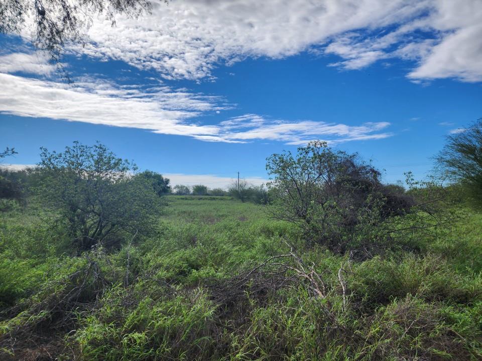 E Expressway 83  , Sullivan City, Texas image 9