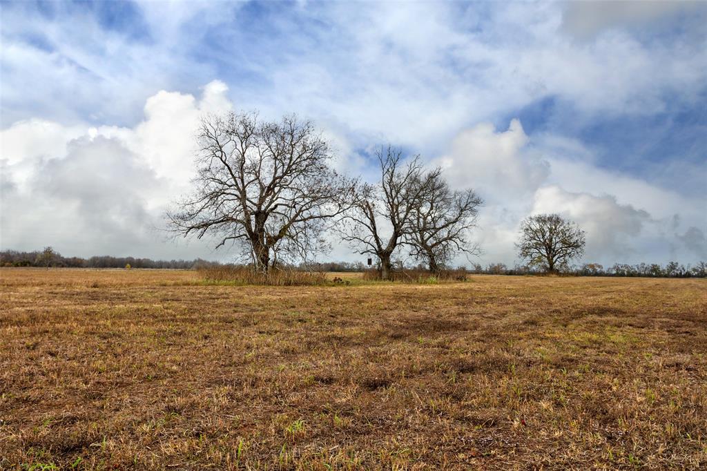 TBD Pr 4045  , Snook, Texas image 14