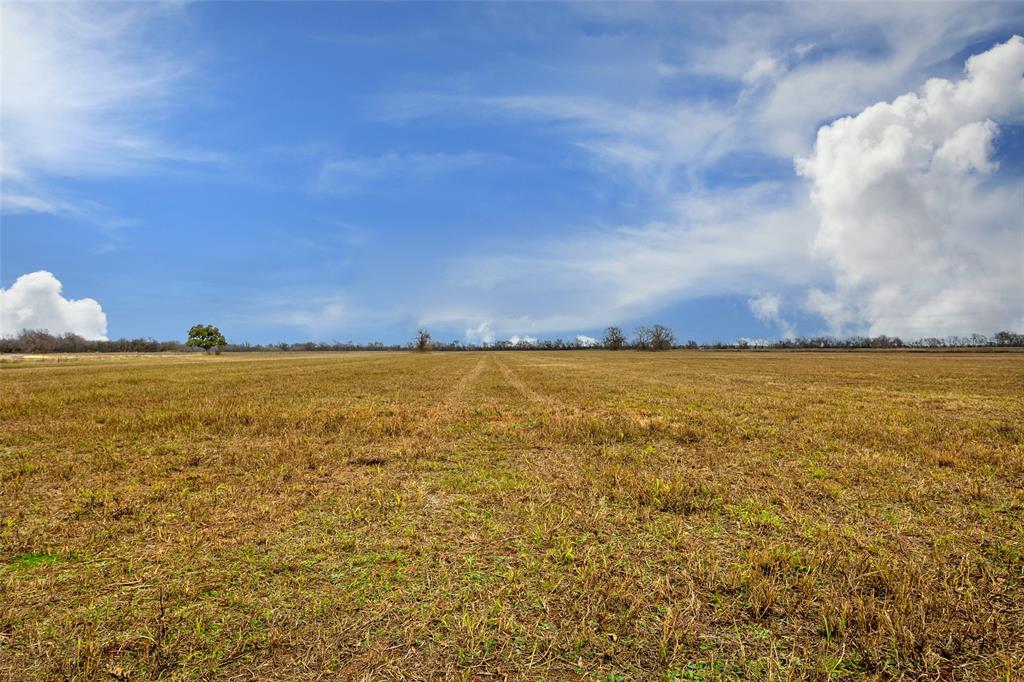 TBD Pr 4045  , Snook, Texas image 15