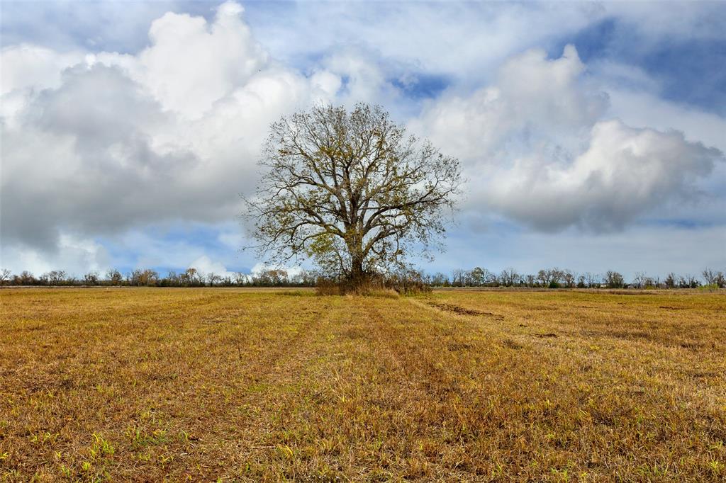 TBD Pr 4045  , Snook, Texas image 20